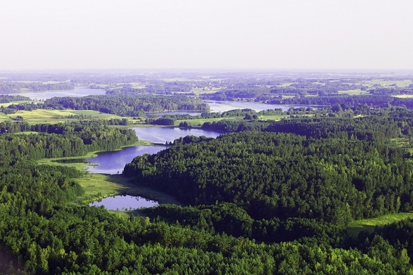 Lietuva piekāpjas tikai Kamerū