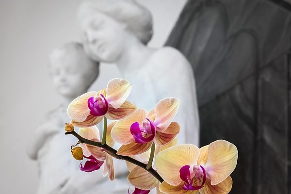 15. augusts vēsturē: Lietuvā svin Vissvētākās Jaun