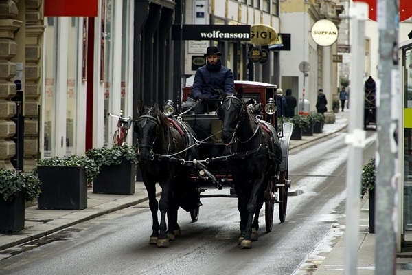 Vīnes vēsturiskais centrs – Eiropas kultūras un mū