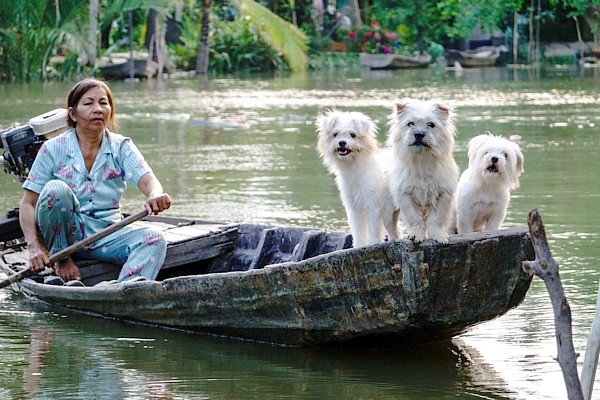 Vjetnamā smagi plūdi – Latvijas ceļotājiem ieteica