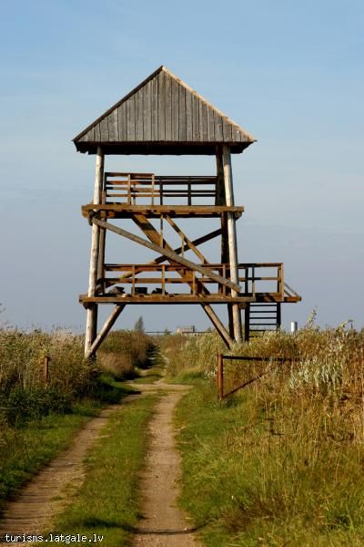 Putnu-verosanas-tornis Putnu vērošanas tornis