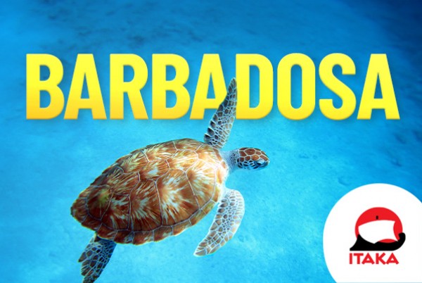 Barbadosa! Cena sākot no 1449 eur!