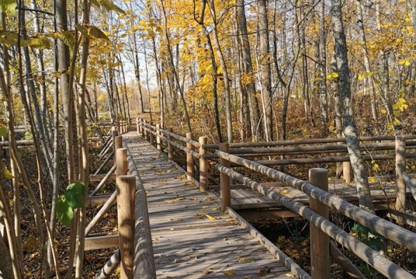 Jaunsventes muižas parks