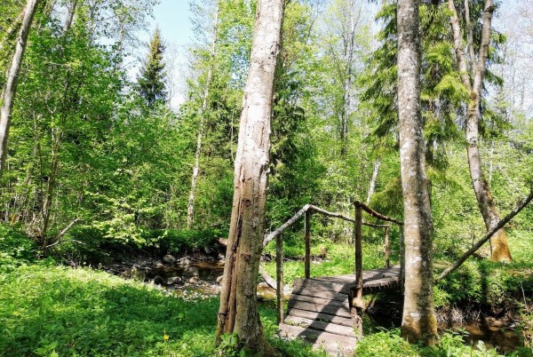 Akmeņupes dabas taka