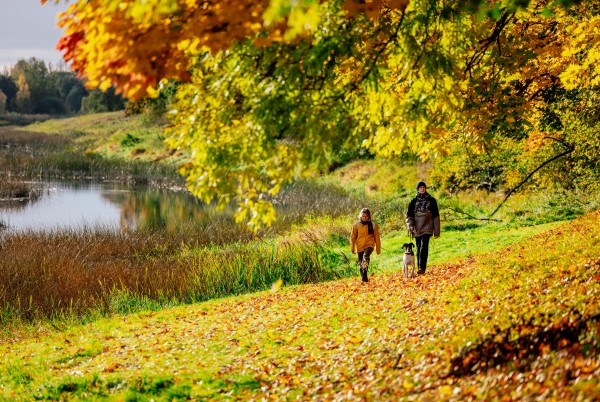 Rudens atpūta Bauskas novadā