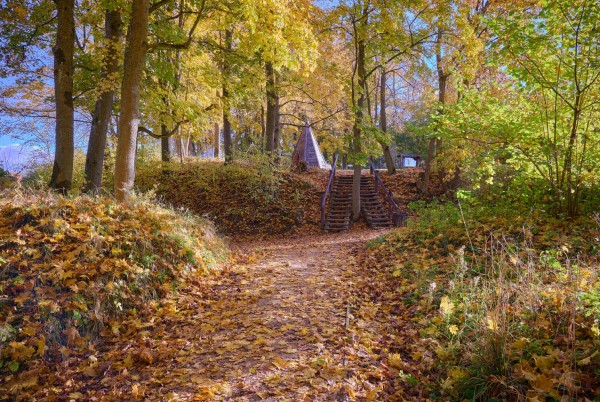 Zelta rudens Bauskas novadā