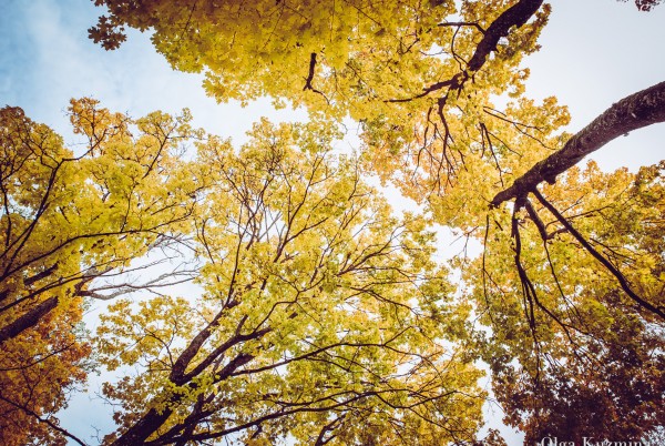 Zelta rudens Augšdaugavas novadā ir klāt