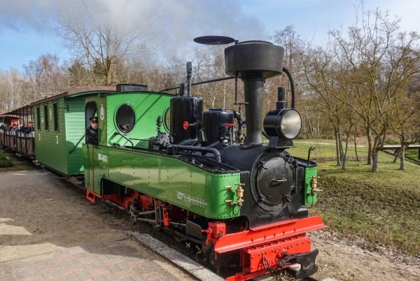 Svētku Mazbānītis 104233 Svētku Mazbānītis