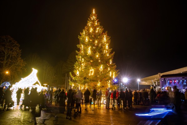 Ventspils egļu iedegšana 104238 Ventspils egļu iedegšana