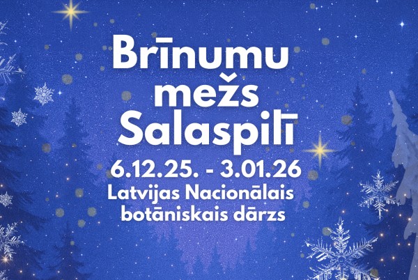 Brīnumu mežs Salaspilī