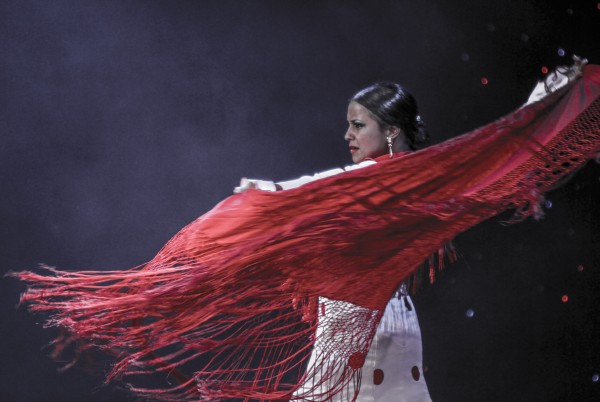 Ugunīgais flamenko Liepājā