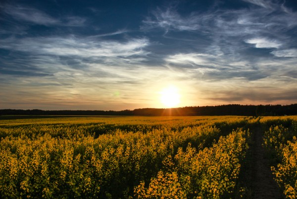 Where the sun is rising - a route for car 