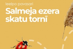 Pavasaris Salmeja ezera skatu tornī Preiļu novada TIC