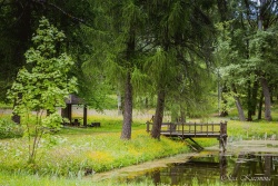 Jezupovas (Juzefovas) muižas parks TAKA