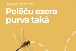 Ieelpo pavasari Pelēču ezera purva takā Preiļu novada TIC