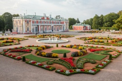 Tallinas krāšņās rozes