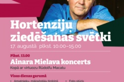 Hortenziju ziedēšanas svētki.