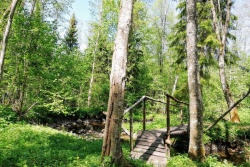 Akmeņupes dabas taka