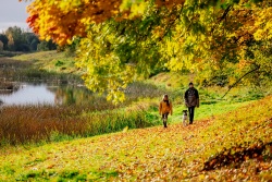 Rudens atpūta Bauskas novadā