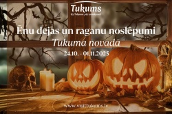 Ēnu dejas un raganu noslēpumi  104005 Ēnu dejas un raganu noslēpumi