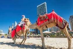 Tuvie Austrumi un Āfrika 104401 Tuvie Austrumi un Āfrika