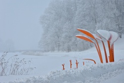 Latvijas - Igaunijas pieredzējums ziemā Alūksnes TIC