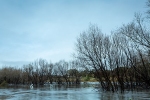 «Balta» Jēkabpils plūdos cietušajiem atlīdzībās izmaksās vairāk nekā 200 000 eiro