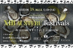 On May 18 we invite all oyster and seafood lovers to the 13th Oyster Festival.