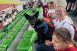 Ceļo ar ķepaini: Arī futbols ir labs iegansts ceļojumam